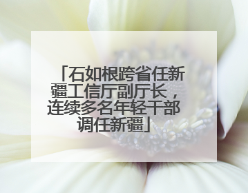 石如根跨省任新疆工信厅副厅长，连续多名年轻干部调任新疆
