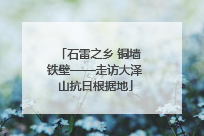 石雷之乡 铜墙铁壁——走访大泽山抗日根据地