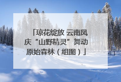 琼花绽放 云南凤庆“山野精灵”舞动原始森林（组图）