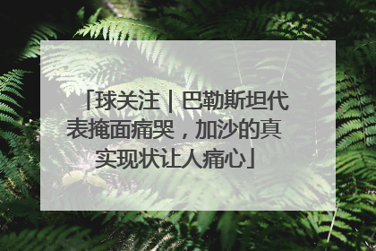 球关注｜巴勒斯坦代表掩面痛哭，加沙的真实现状让人痛心