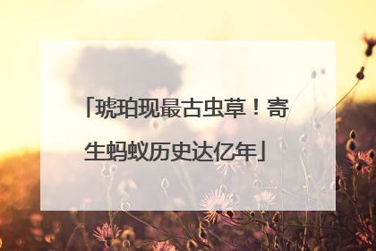 琥珀现最古虫草！寄生蚂蚁历史达亿年