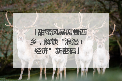 甜蜜风暴席卷西乡，解锁“浪漫+经济”新密码