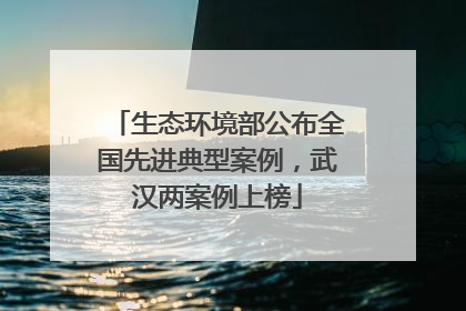 生态环境部公布全国先进典型案例，武汉两案例上榜