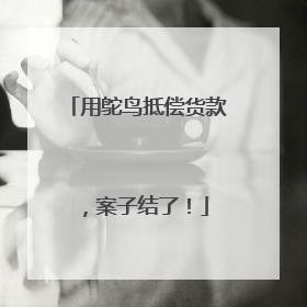 用鸵鸟抵偿货款，案子结了！