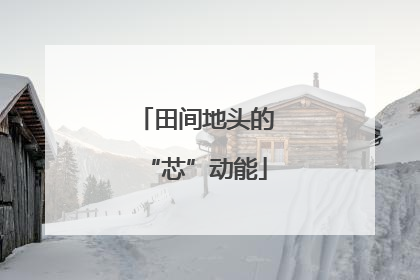 田间地头的“芯”动能