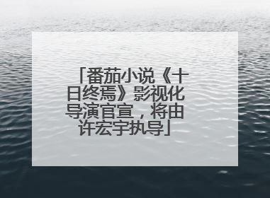 番茄小说《十日终焉》影视化导演官宣，将由许宏宇执导