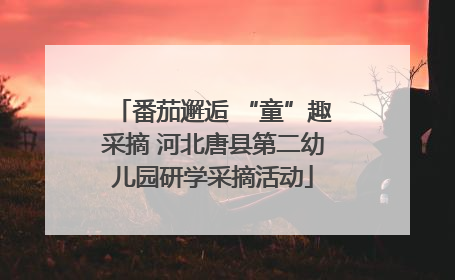 番茄邂逅 “童”趣采摘 河北唐县第二幼儿园研学采摘活动