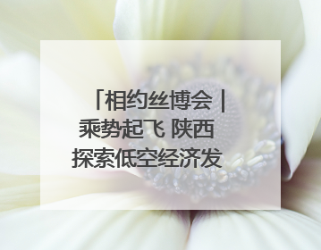 相约丝博会｜乘势起飞 陕西探索低空经济发展新动力