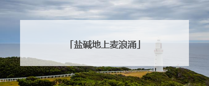 盐碱地上麦浪涌