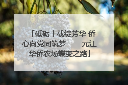 砥砺十载绽芳华 侨心向党同筑梦——元江华侨农场蝶变之路