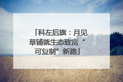 科左后旗：月见草铺就生态致富“可复制”新路