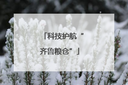 科技护航“齐鲁粮仓”