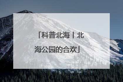 科普北海丨北海公园的合欢