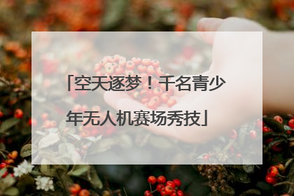 空天逐梦！千名青少年无人机赛场秀技