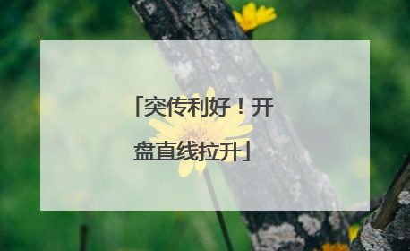 突传利好！开盘直线拉升