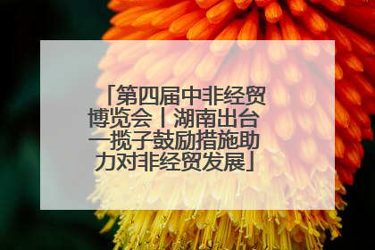 第四届中非经贸博览会丨湖南出台一揽子鼓励措施助力对非经贸发展
