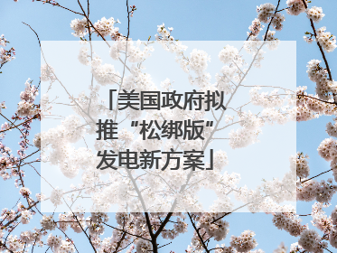美国政府拟推“松绑版”发电新方案