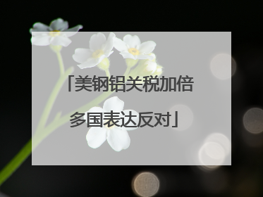 美钢铝关税加倍 多国表达反对