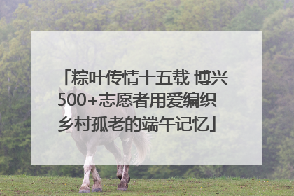 粽叶传情十五载 博兴500+志愿者用爱编织乡村孤老的端午记忆