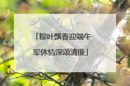 粽叶飘香迎端午 军休情深颂清廉
