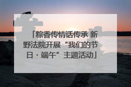 粽香传情话传承 新野法院开展“我们的节日・端午”主题活动