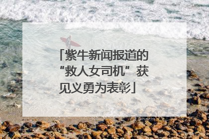 紫牛新闻报道的“救人女司机”获见义勇为表彰