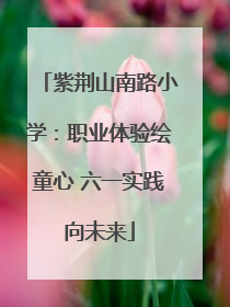 紫荆山南路小学：职业体验绘童心 六一实践向未来