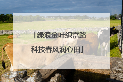 绿浪金叶织富路 科技春风润心田