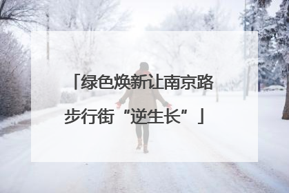 绿色焕新让南京路步行街“逆生长”