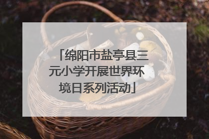 绵阳市盐亭县三元小学开展世界环境日系列活动