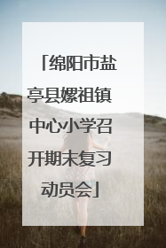 绵阳市盐亭县嫘祖镇中心小学召开期末复习动员会