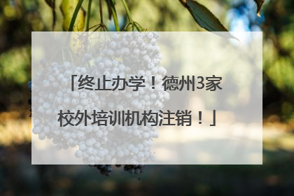 终止办学！德州3家校外培训机构注销！