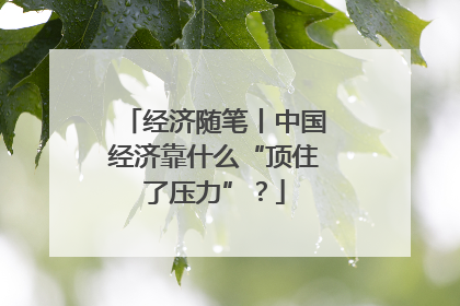 经济随笔丨中国经济靠什么“顶住了压力”？