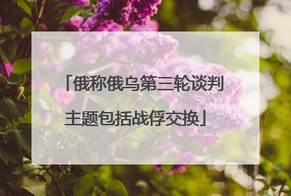 俄称俄乌第三轮谈判主题包括战俘交换