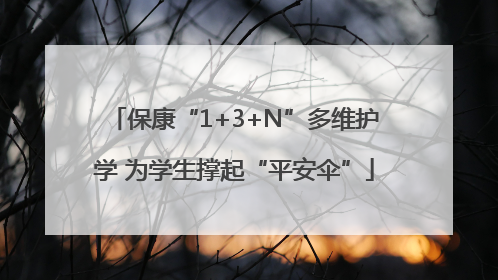 保康“1+3+N”多维护学 为学生撑起“平安伞”