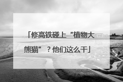 修高铁碰上“植物大熊猫”？他们这么干