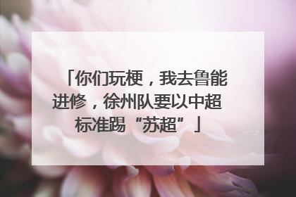 你们玩梗，我去鲁能进修，徐州队要以中超标准踢“苏超”