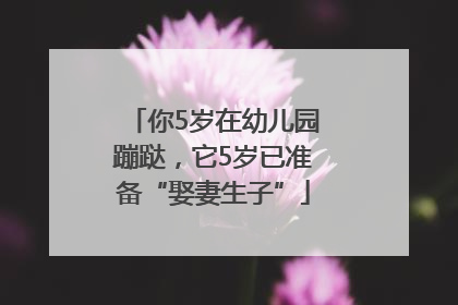 你5岁在幼儿园蹦跶，它5岁已准备“娶妻生子”