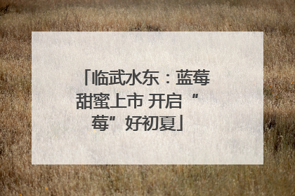 临武水东：蓝莓甜蜜上市 开启“莓”好初夏