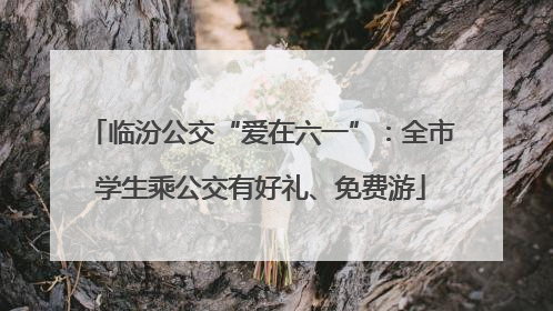 临汾公交“爱在六一”：全市学生乘公交有好礼、免费游