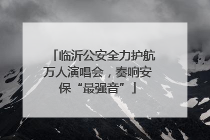 临沂公安全力护航万人演唱会，奏响安保“最强音”