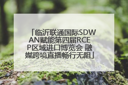 临沂联通国际SDWAN赋能第四届RCEP区域进口博览会 融媒跨境直播畅行无阻