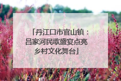 丹江口市官山镇：吕家河民歌盛宴点亮乡村文化舞台