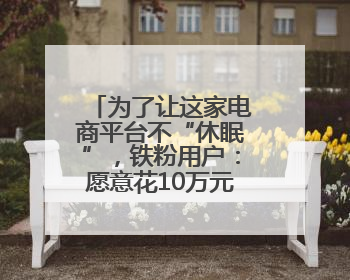 为了让这家电商平台不“休眠”，铁粉用户：愿意花10万元认购原始股“应援”