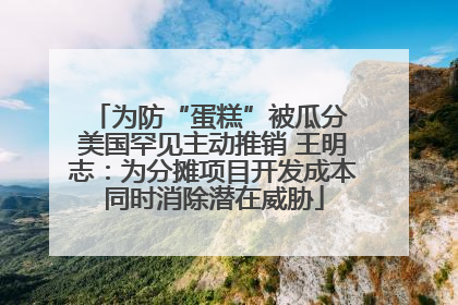 为防“蛋糕”被瓜分 美国罕见主动推销 王明志：为分摊项目开发成本同时消除潜在威胁