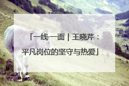 一线·一面｜王晓芹：平凡岗位的坚守与热爱