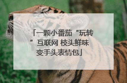 一颗小番茄“玩转”互联网 枝头鲜味变手头表情包