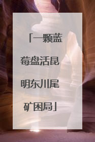 一颗蓝莓盘活昆明东川尾矿困局