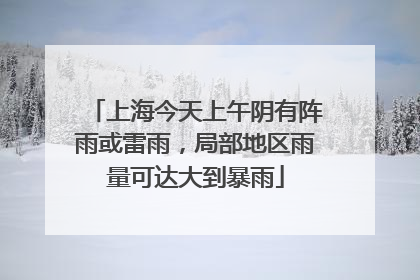 上海今天上午阴有阵雨或雷雨，局部地区雨量可达大到暴雨