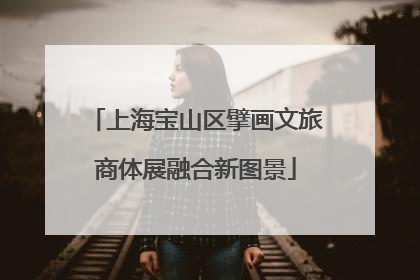 上海宝山区擘画文旅商体展融合新图景